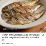 내장제거 찐보리굴비 대 29cm 내외 5팩