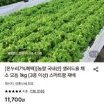 국내산 샐러드용 채소 모듬 1kg (3종 이상)