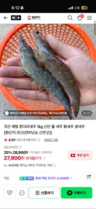 국산 제철 흰다리새우 1kg 신안 활 새우 35미내외