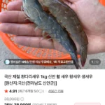 국산 제철 흰다리새우 1kg 신안 활 새우 35미내외