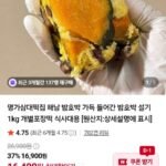 밤호박 설기 1kg
