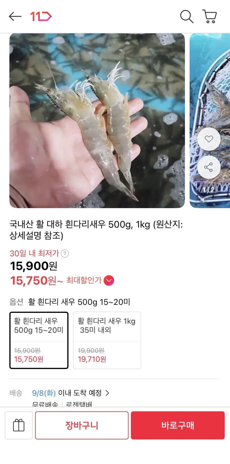 국내산 활 대하 흰다리새우 500g