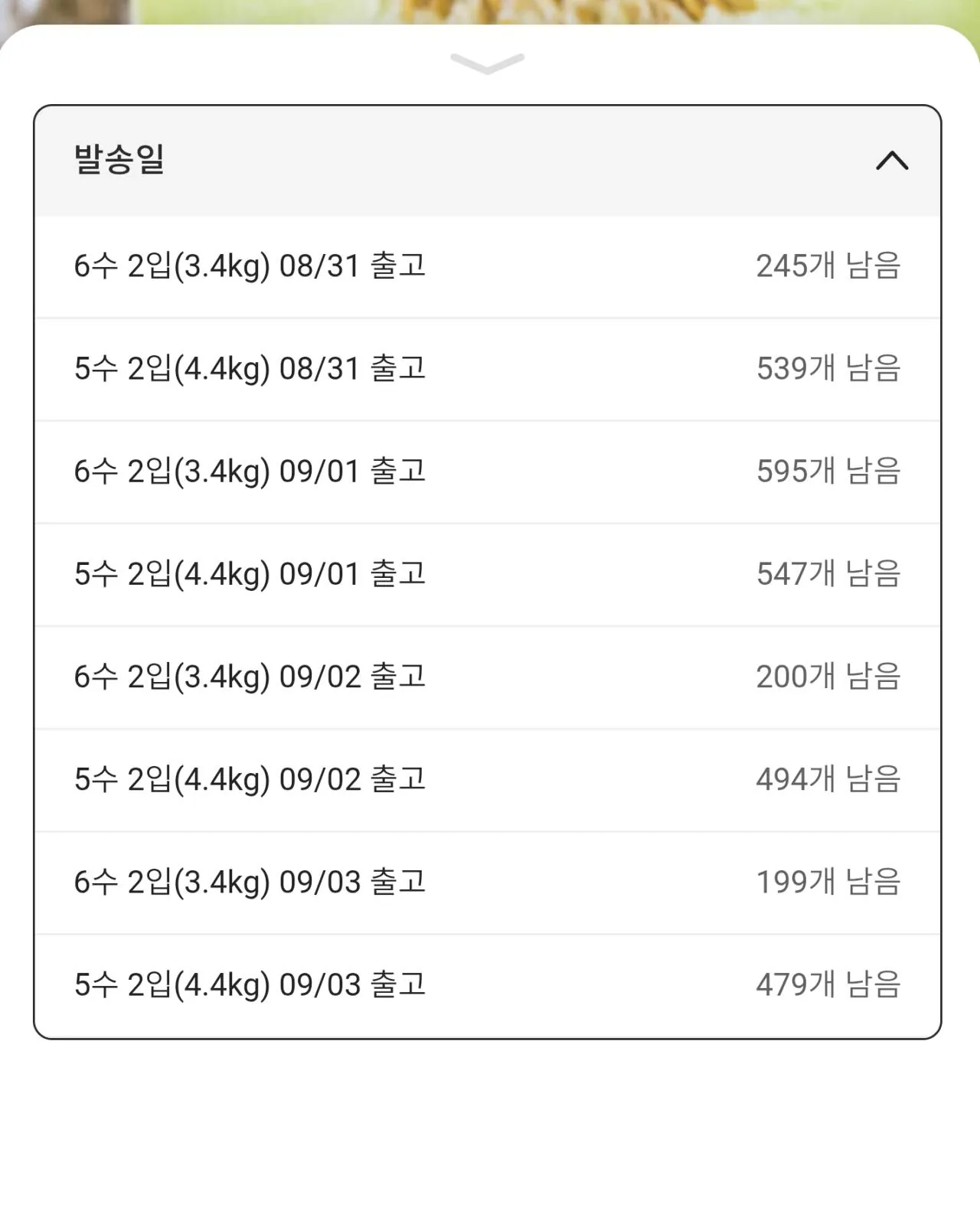 신세계푸드 허니듀 멜론