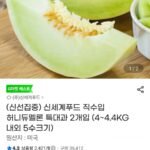 신세계푸드 직수입 허니듀멜론 특대과 2개입 (4.4KG 내외 5수 크기)