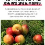 추희자두 3kg 고당도 왕특사이즈 150g 20개 내외