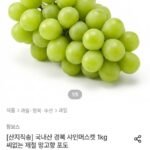 국내산 경북 샤인머스캣 맛보기 450g 내외
