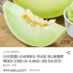 허니듀 멜론 5수 2입