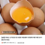난각번호1번 무항생제 유정란 20구
