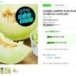 (신선집중) 신세계푸드 직수입 허니듀멜론 대과 특대과 2개입 (3.4~4.4KG 내외)