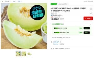(신선집중) 신세계푸드 직수입 허니듀멜론 대과 특대과 2개입 (3.4~4.4KG 내외)