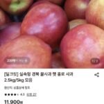 경북 햇 홍로 꿀사과 2.5kg 15-20개