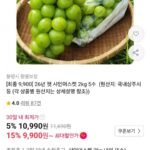 26년 햇 샤인머스켓 2kg 5수