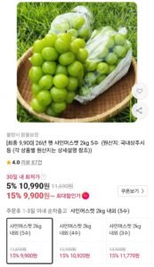 26년 햇 샤인머스켓 2kg 5수