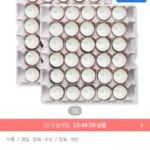 동물복지 국내산 백색 유정란 30구+30구 대란