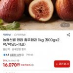 농협선별 영암 홍무화과 1kg