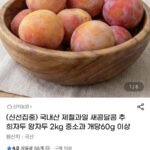새콤달콤 추희자두 2kg