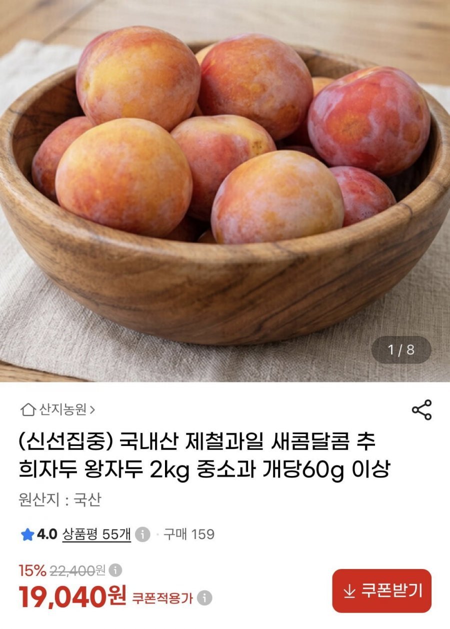 새콤달콤 추희자두 2kg