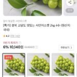 경북 고당도 샤인머스켓 2kg 4수