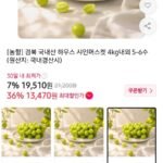 [농할] 경북 국내산 하우스 샤인머스켓 4kg내외 5-6수