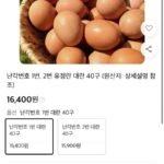 난각번호1번 대란 40구