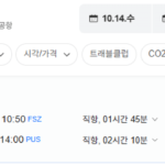 부산-시즈오카 1014-1021