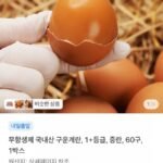 국내산 자연숙성 무항생제 구운계란 60구
