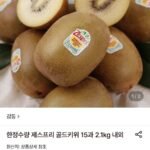 제스프리 골드키위 15과 2.1kg 내외