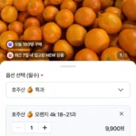 호주산 오렌지 특과 4kg