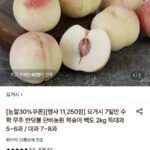 백도복숭아 2kg 특대과 5-6과