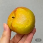 국내산 아삭달콤 추희자두 대과 90g내외 1kg