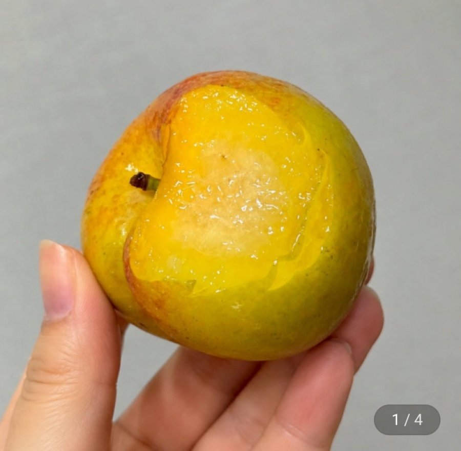 국내산 아삭달콤 추희자두 대과 90g내외 1kg