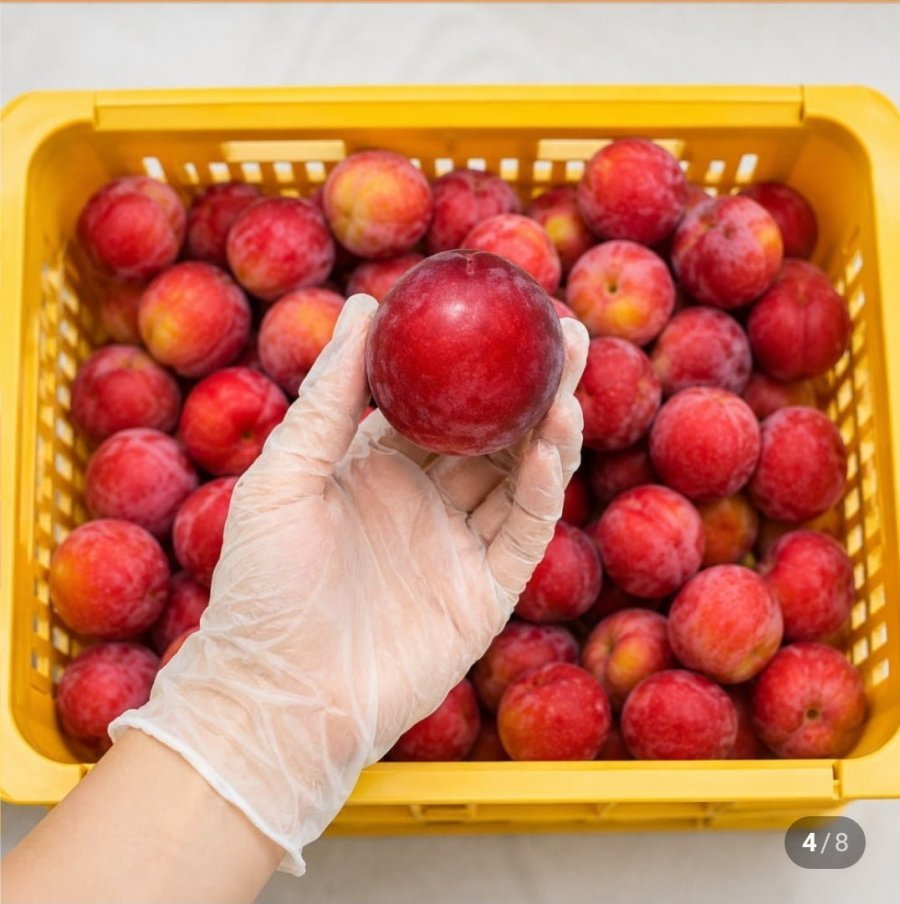 고당도 왕 추희 자두 2kg 특품 90g내외