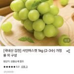 샤인머스켓 2kg 2-4수 특품