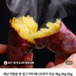 해남 직발송 햇 꿀고구마 베니하루카 특상 3kg