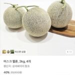 멜론 2kg 4수