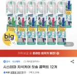 시스테마 치석케어 칫솔 콤팩트 12개