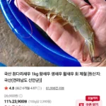 국내산 흰다리새우 1kg