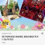 한가위 빅세일 에버랜드 종일권
