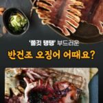 원양산 반건조오징어 10미 700g