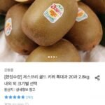 제스프리 골드 키위 특대과 20과 2.8kg내외