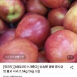 실속형 경북 꿀사과 햇 홍로 사과 2.5kg