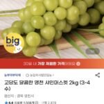 고당도 달콤한 영천 샤인머스켓 2kg (3-4수)