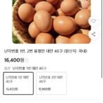난각번호 1번 대란 40구