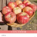 첫수확 햇 홍로사과 3kg