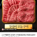 ++1 투뿔한우 갓성비 구이용모둠세트A