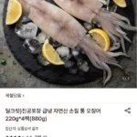 진공포장 급냉 자연산 손질 통 오징어 220g*4팩(880g)