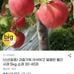 과즙가득 홍로사과 5kg
