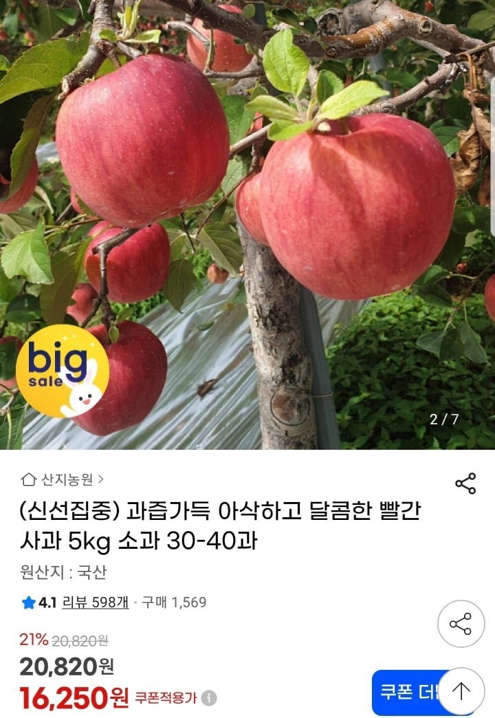 과즙가득 홍로사과 5kg