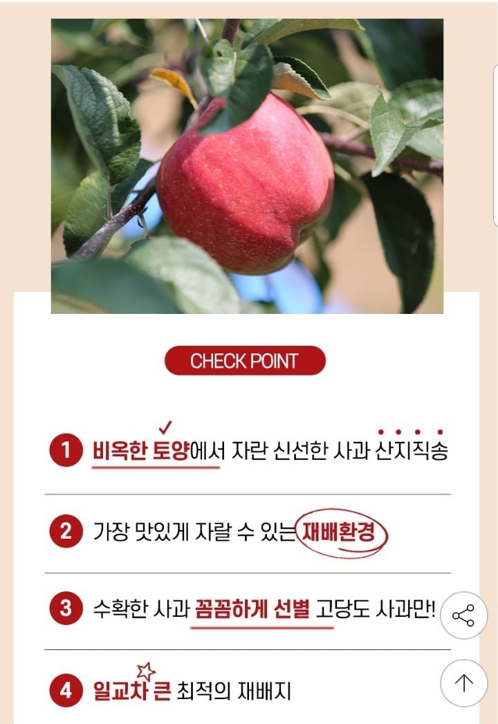 과즙가득 홍로사과 5kg