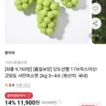 고당도 샤인머스켓 2kg 3~4수